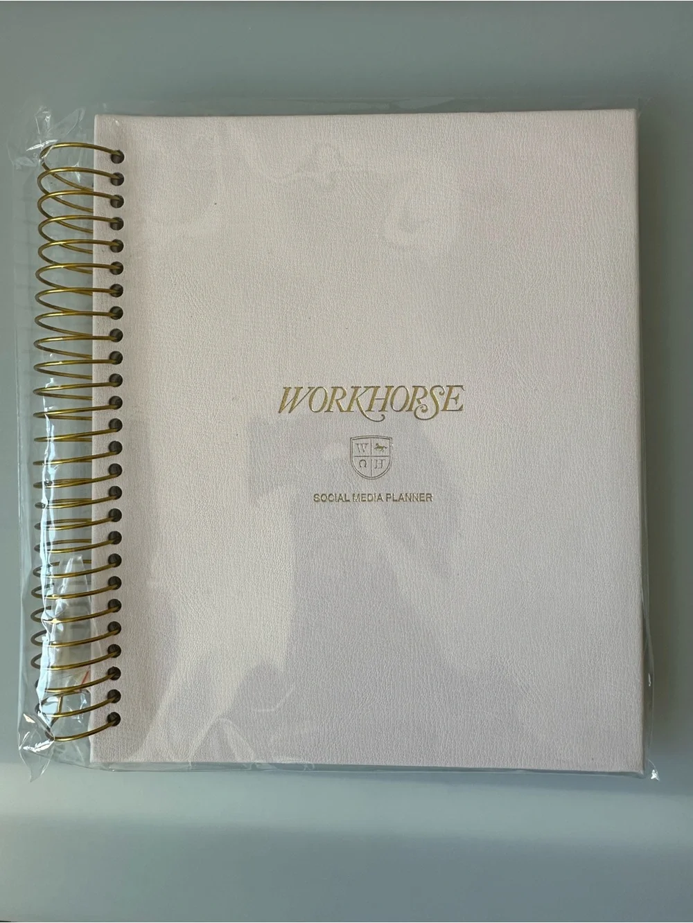 NWT WORKHORSE LIMITED EDITION MILKY PINK Social Media PLANNER Undated